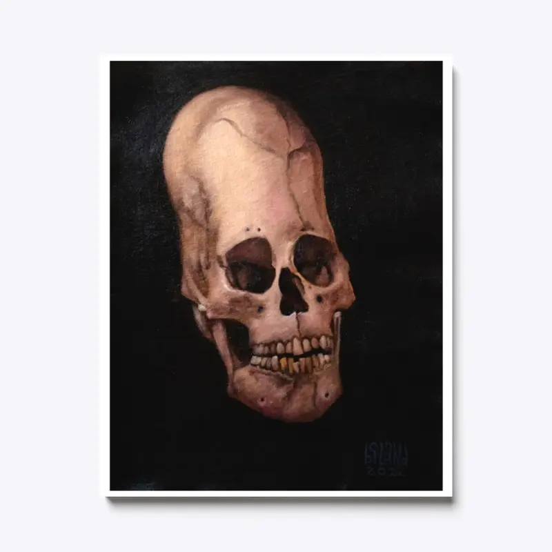 WB Skull #1 Canvas Print